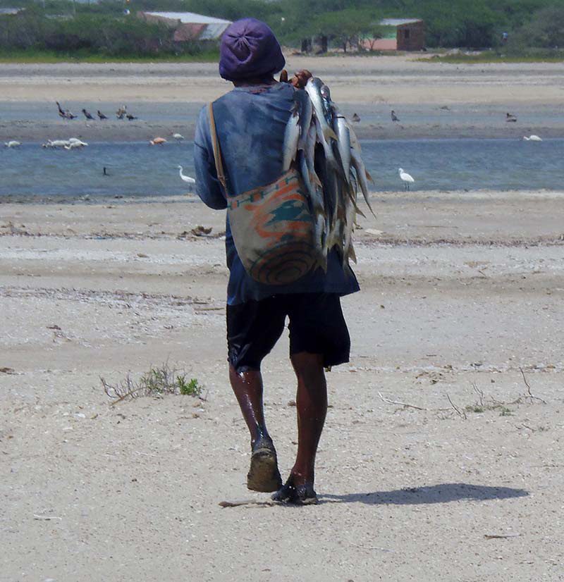 La Guajira Colombia, desalination