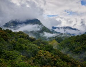 Zdeněk Macháček image on unsplash
